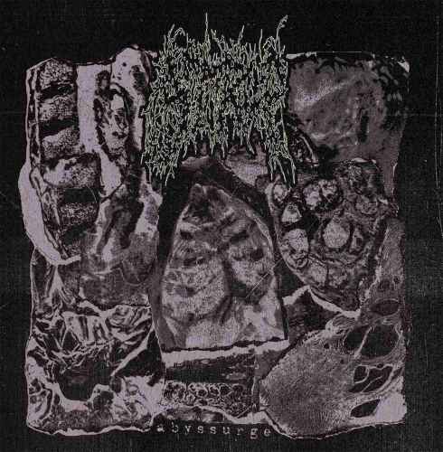 STRUP - Abyssurge CD